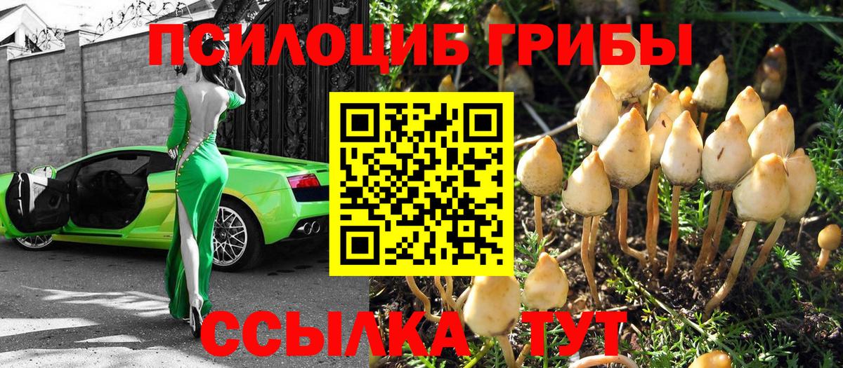 Губкинский  ГАШИШ  КОКАИН  Мефедрон   Экстази  Вход с VPN  Купить 