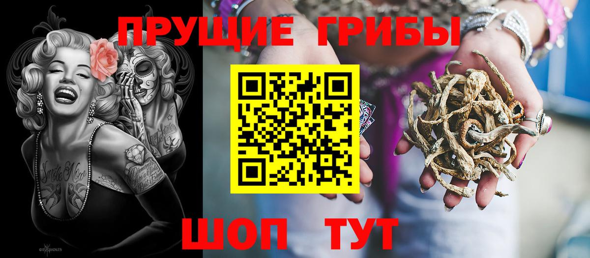 Губкинский  купить наркоту  Вход с VPN  Галлюциногенные грибы мухоморы 